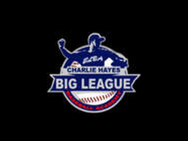 BigLeagueBaseballAcademy 768x576