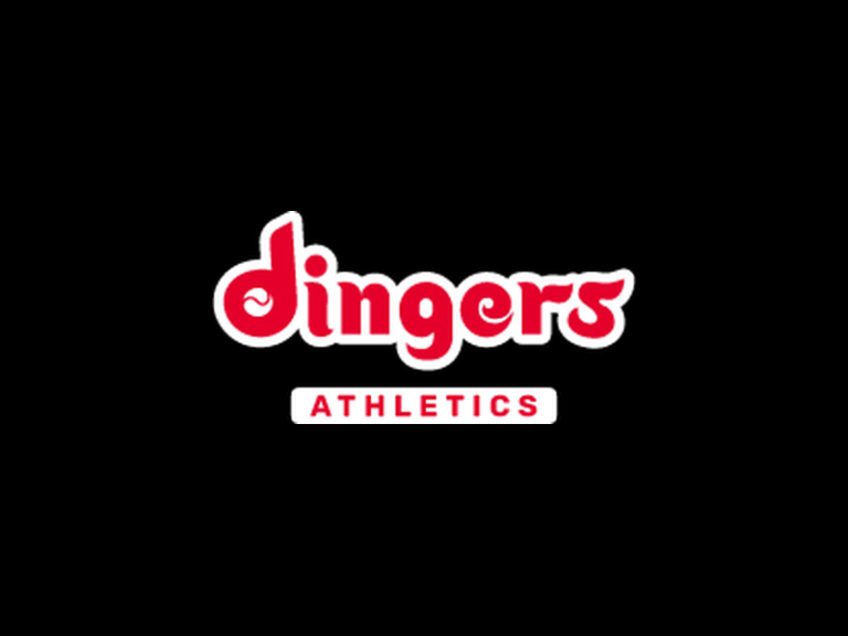 Dingers 768x576