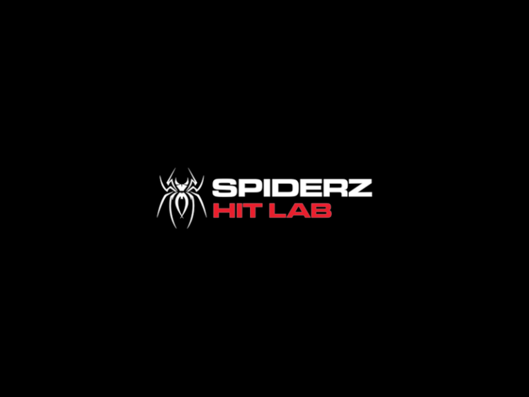 SpiderzHitLab 768x576